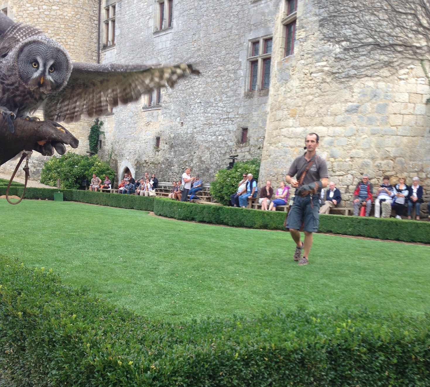 Big god damned owl, clearly photobombing Nic's picture of the castle